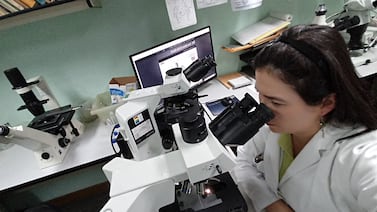 Bajan tarifas para trámites en Senasa y el Servicio Fitosanitario