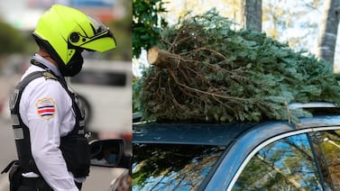 Policía de Tránsito advierte sobre multa por llevar el arbolito de Navidad en el techo del carro; esto es lo que debe saber