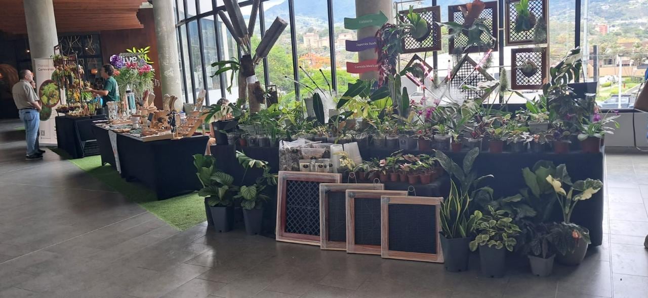 La feria de plantas reunirá a más de 20 expositores y emprendimientos en Escazú.