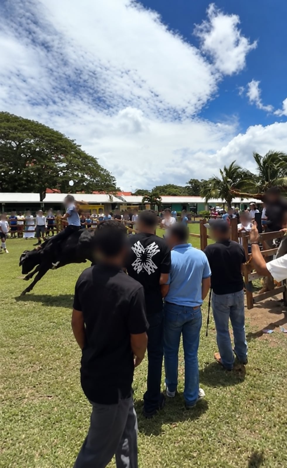 Un ternero participa en una actividad taurina realizada dentro del Colegio José María Gutiérrez, en Guayabo de Bagaces, ante la presencia de estudiantes y otros asistentes. El evento quedó bajo investigación de las autoridades educativas.