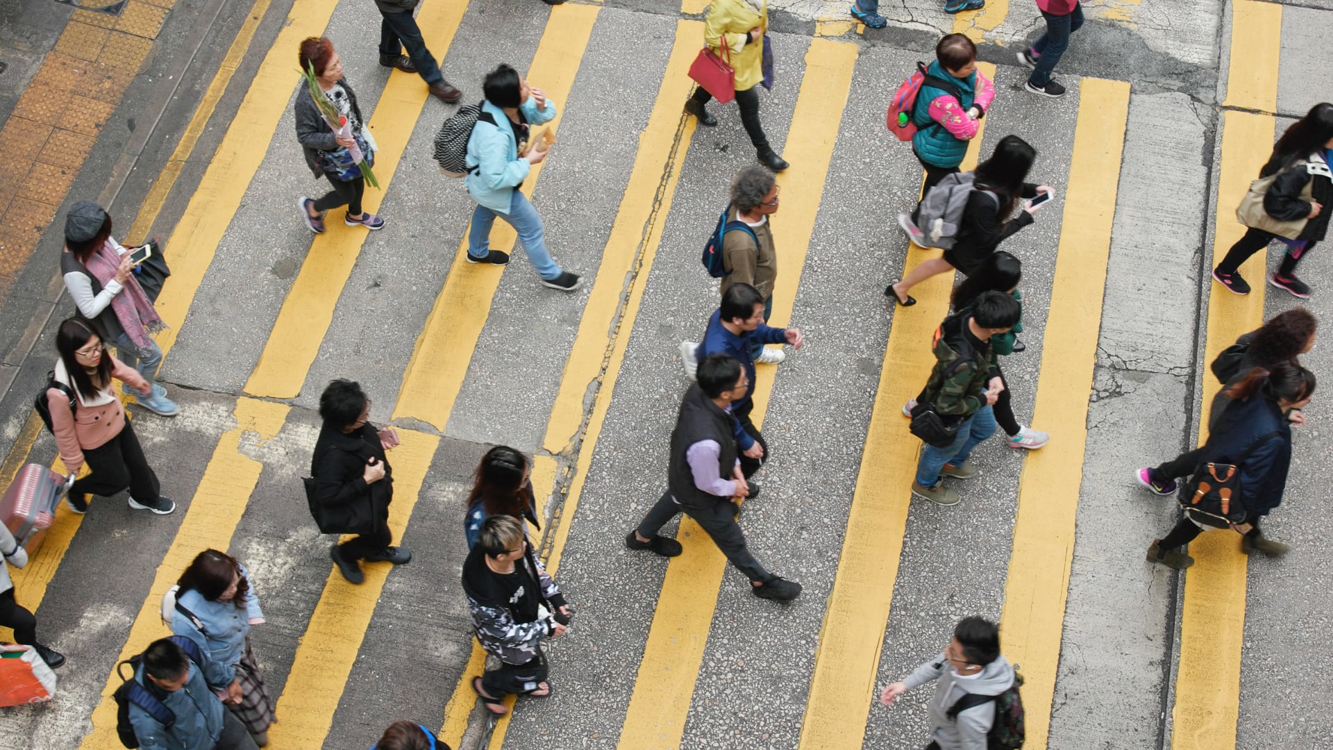 En 170 años la biomasa humana creció 700% y la de mamíferos silvestres cayó 70%, según estudio del Instituto Weizmann