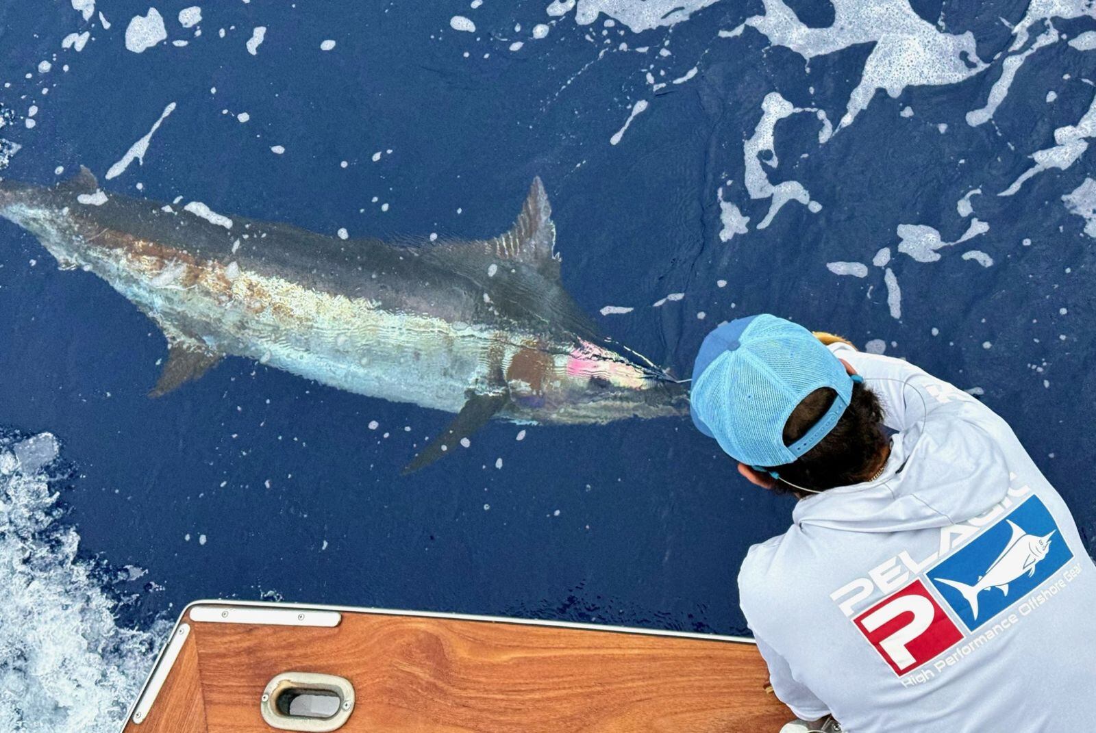 Hombre en un bote junto a un marlín capturado durante un torneo de pesca deportiva en la costa pacífica de Costa Rica.
