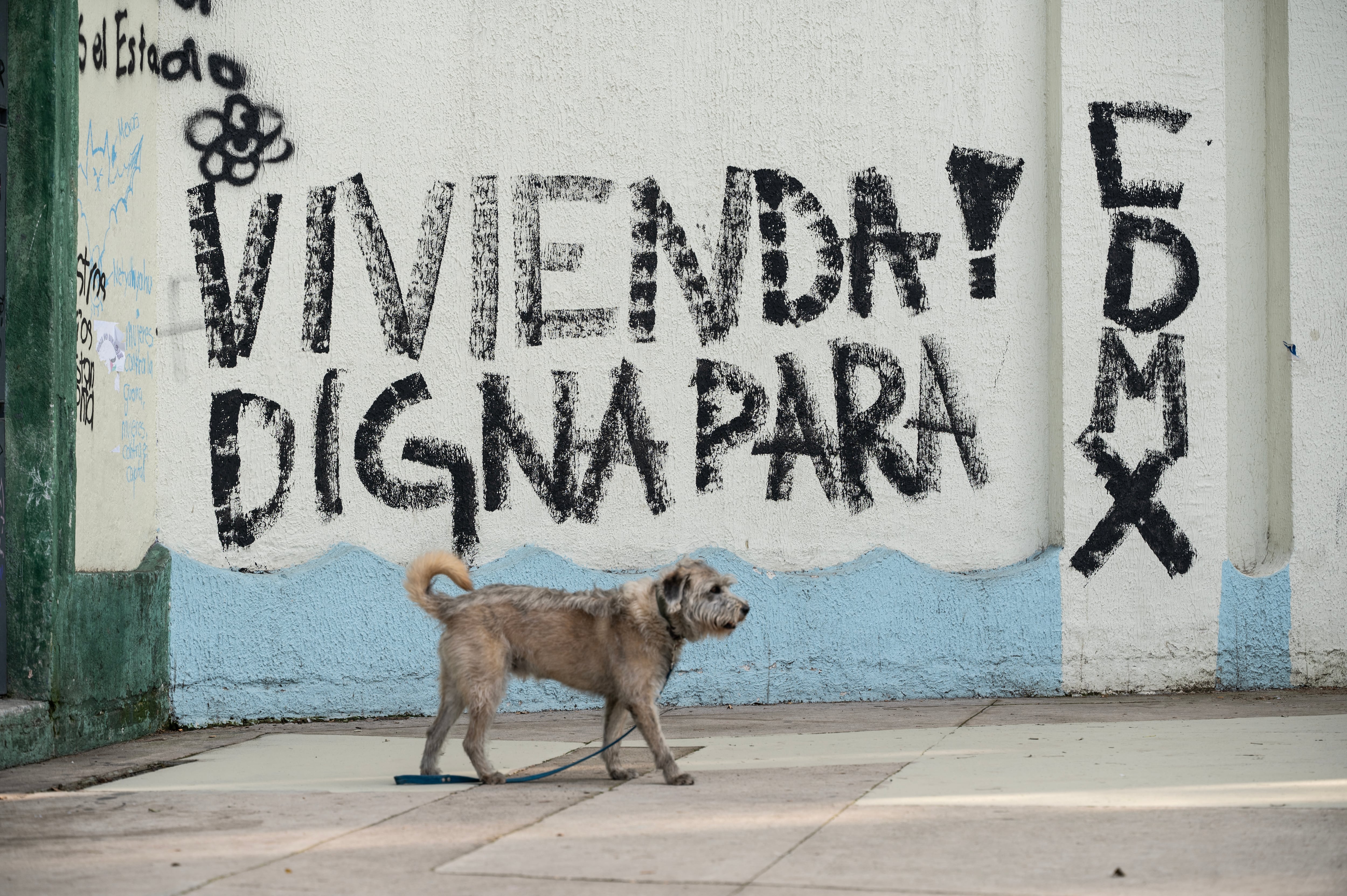 Un perro camina frente a un muro del Parque México con un grafiti que dice "Vivienda digna para CDMX", un día después de una marcha contra la gentrificación y la creciente presencia de ciudadanos estadounidenses en la colonia Condesa de la Ciudad de México, el 5 de julio de 2025.