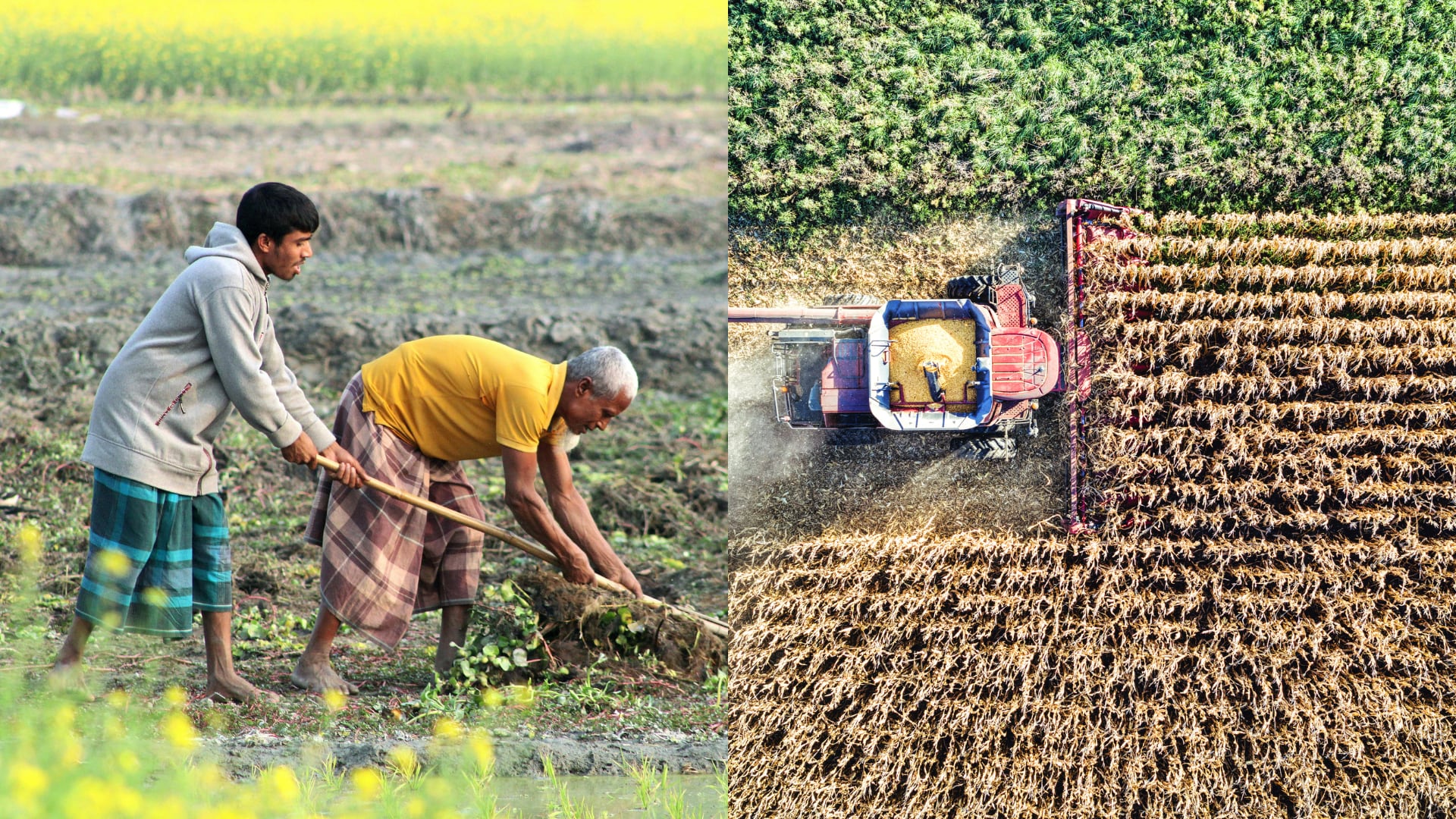 Los conflictos y el clima extremo mantienen a 266.000.000 de personas en crisis alimentaria aguda, con Sudán y Gaza como algunos de los puntos más críticos.
