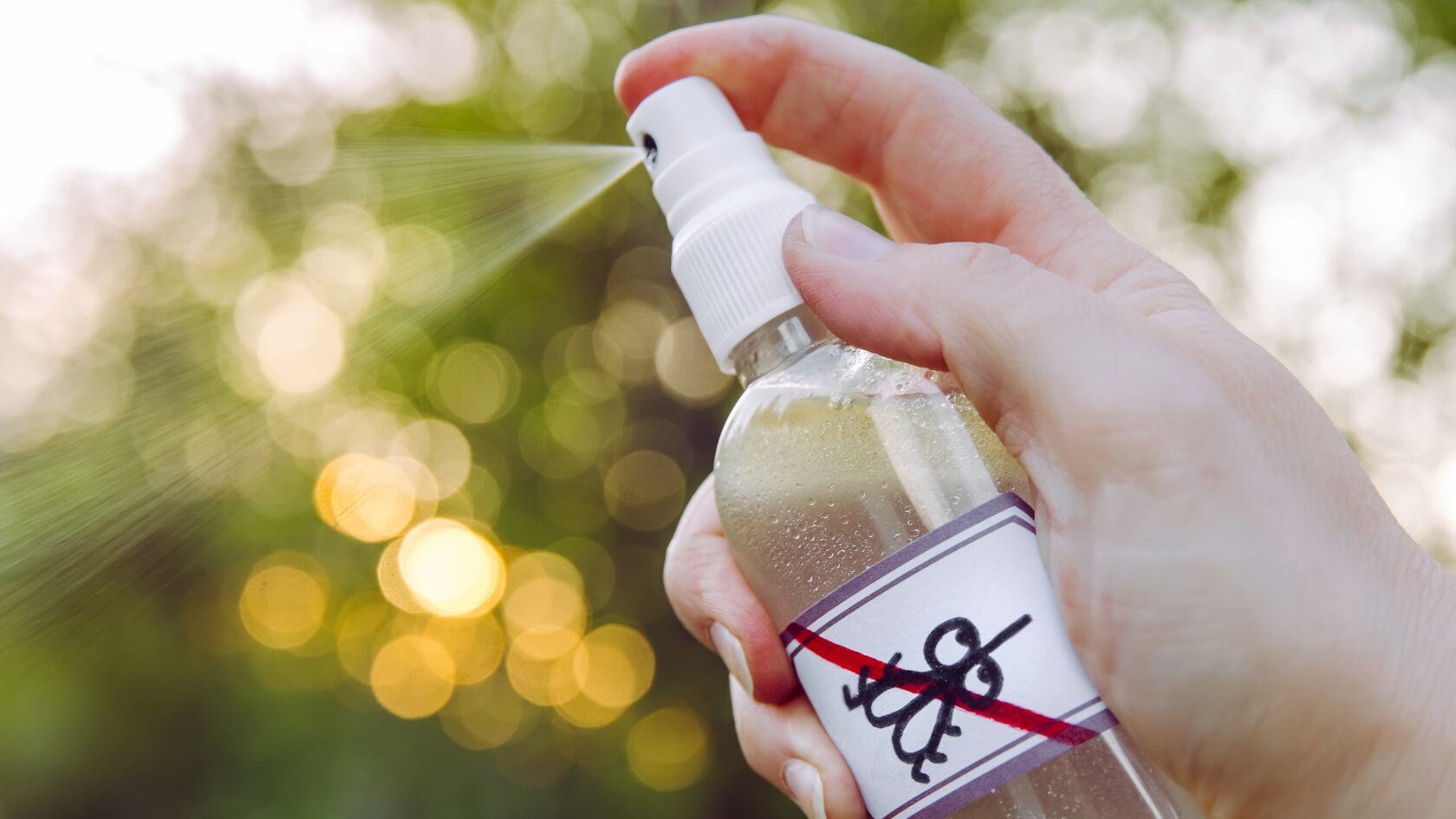 Use lavanda, menta o citronela para preparar repelentes caseros que alejan a los mosquitos y previenen enfermedades como dengue o zika.