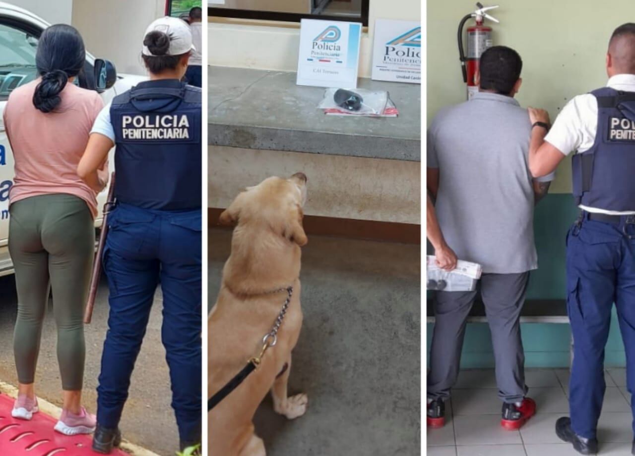 Solo los canes pueden muchas veces detectar la droga que mujeres y hombres tratar de introducir los días de visita en los centros penales. Foto: Min. de Justicia.