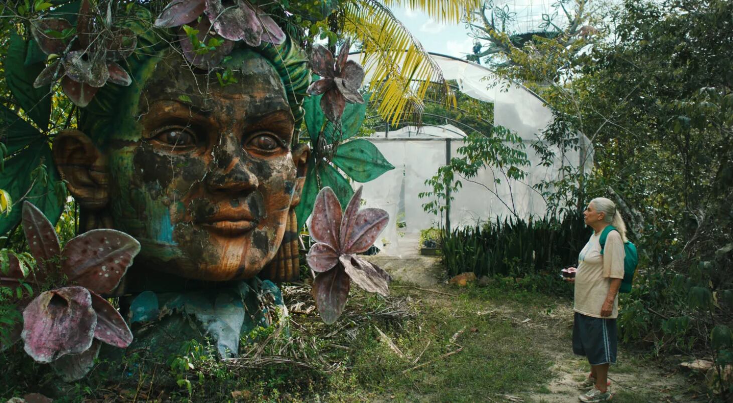'O último azul' ('The Blue Trail') de Gabriel Mascaro.