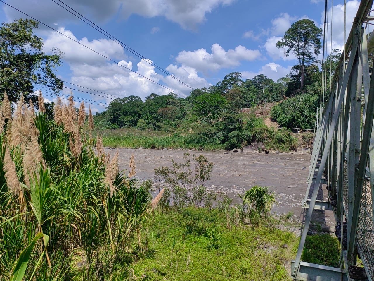 Agentes del OIJ buscan en Turrialba a un joven de 18 años que desapareció en el centro de Guápiles.