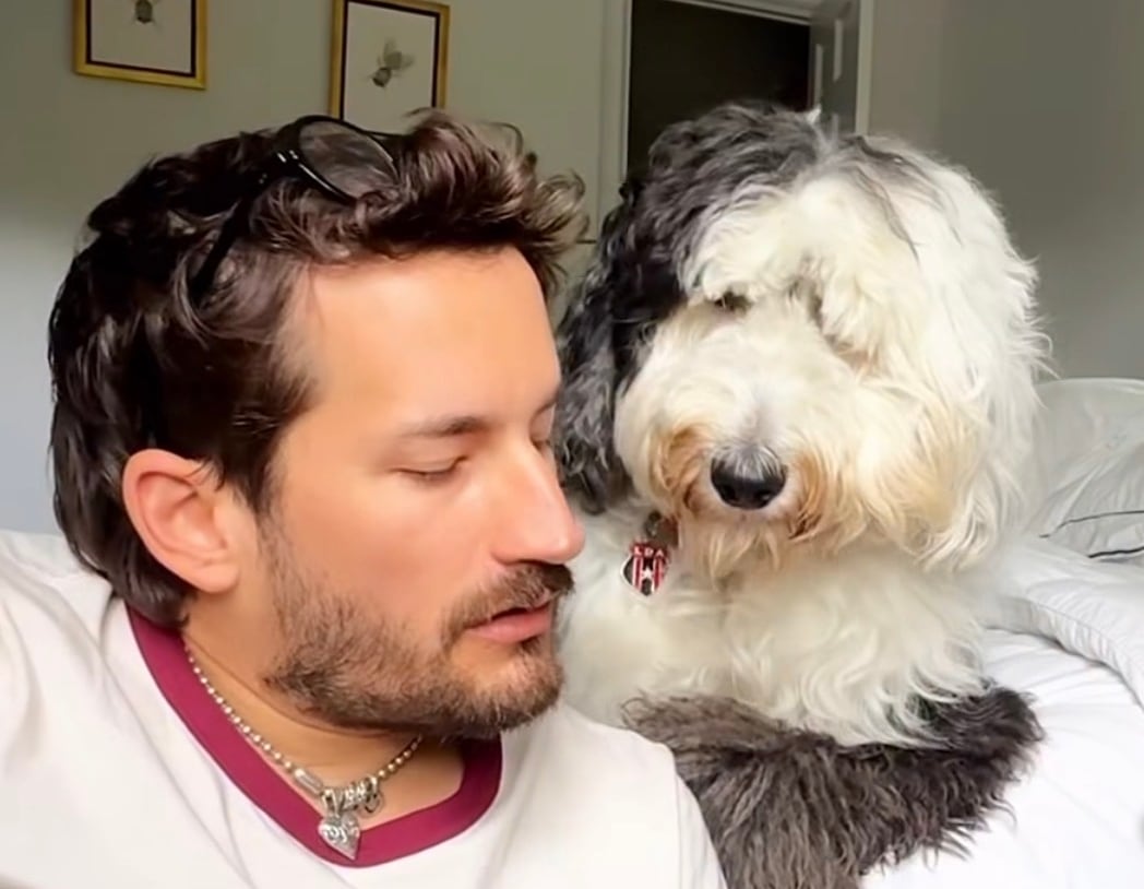 ¿Qué es eso? Mao, el tierno integrante de la familia Montaner, desata locura... y Alajuelense tiene mucho que ver