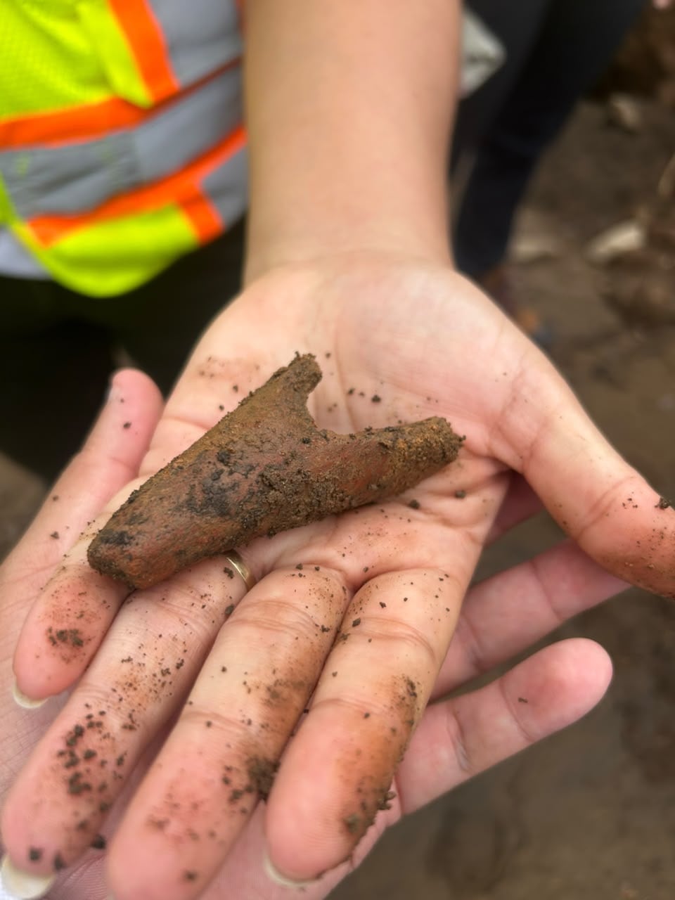 Especialistas deberán determinar la naturaleza y el alcance de los materiales encontrados en el terreno del Liceo Rural Buena Vista.