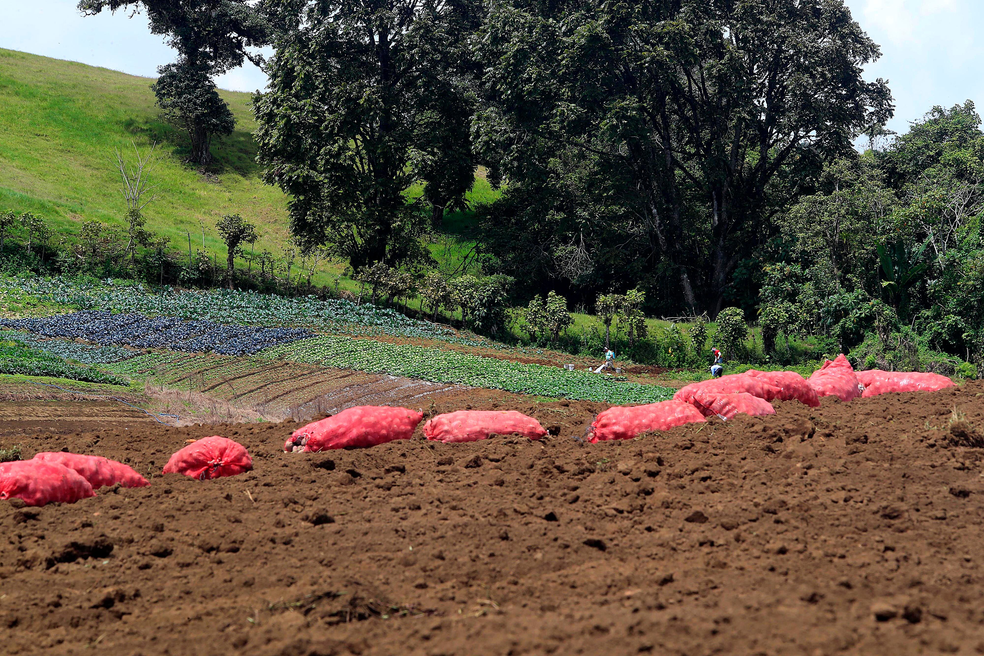 03/10/2023 Cipreses de Oreamuno. Recorrido por este distrito que ha sido noticia en los últimos años porque sus habitantes están recibiendo agua contaminada. Miles de habitantes siguen recibiendo agua de cisternas por la contaminación detectada desde 2021 y confirmada por un estudio en conjunto del IRET-UNA y el Laboratorio Nacional de Agua del AYA.