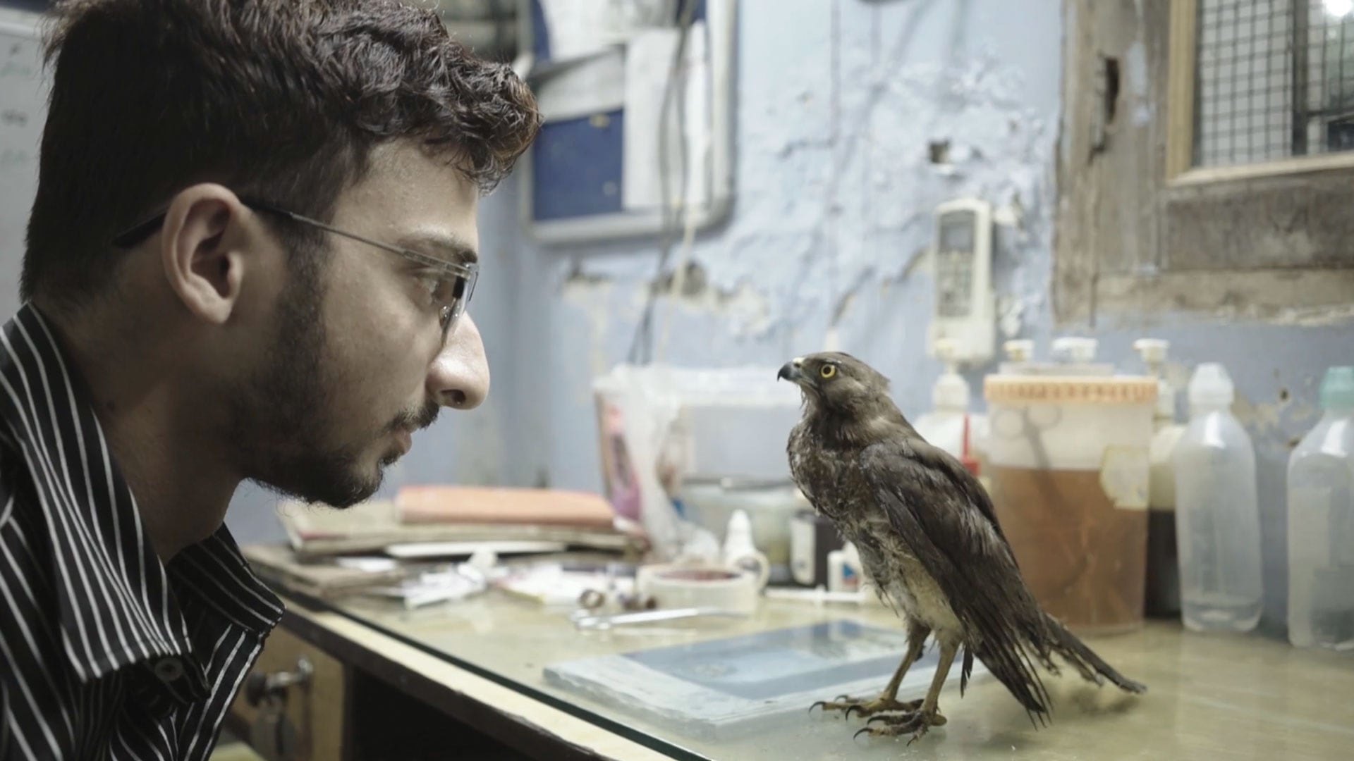 All That Breathes (Todo lo que respira), largometraje del director indio Shaunak Sen que obtuvo una nominación al Premio Oscar como mejor largometraje documental.