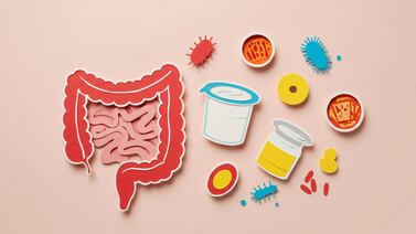 Microbiota: el ‘órgano invisible’ que influye en el sistema inmune, el ánimo y el sueño