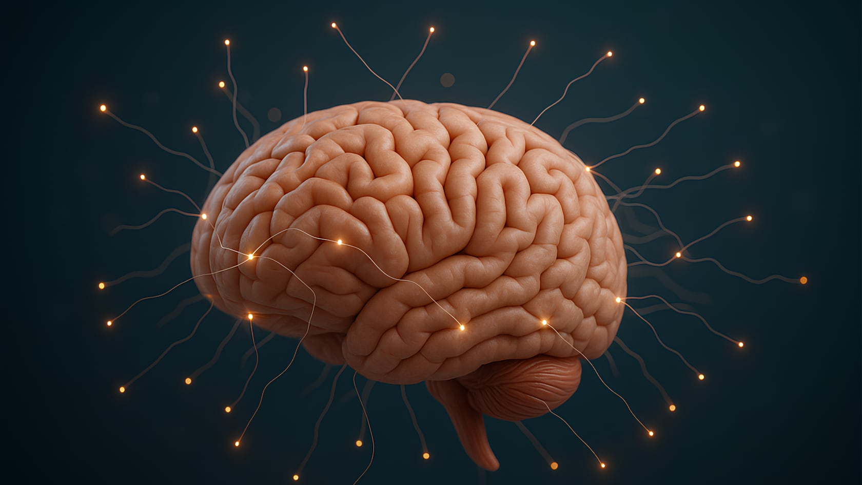 Científicos asociaron mayor exposición prenatal al estrógeno con cerebros más grandes en varones recién nacidos.