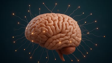 Científicos revelan vínculo entre el largo de los dedos y la evolución del cerebro humano