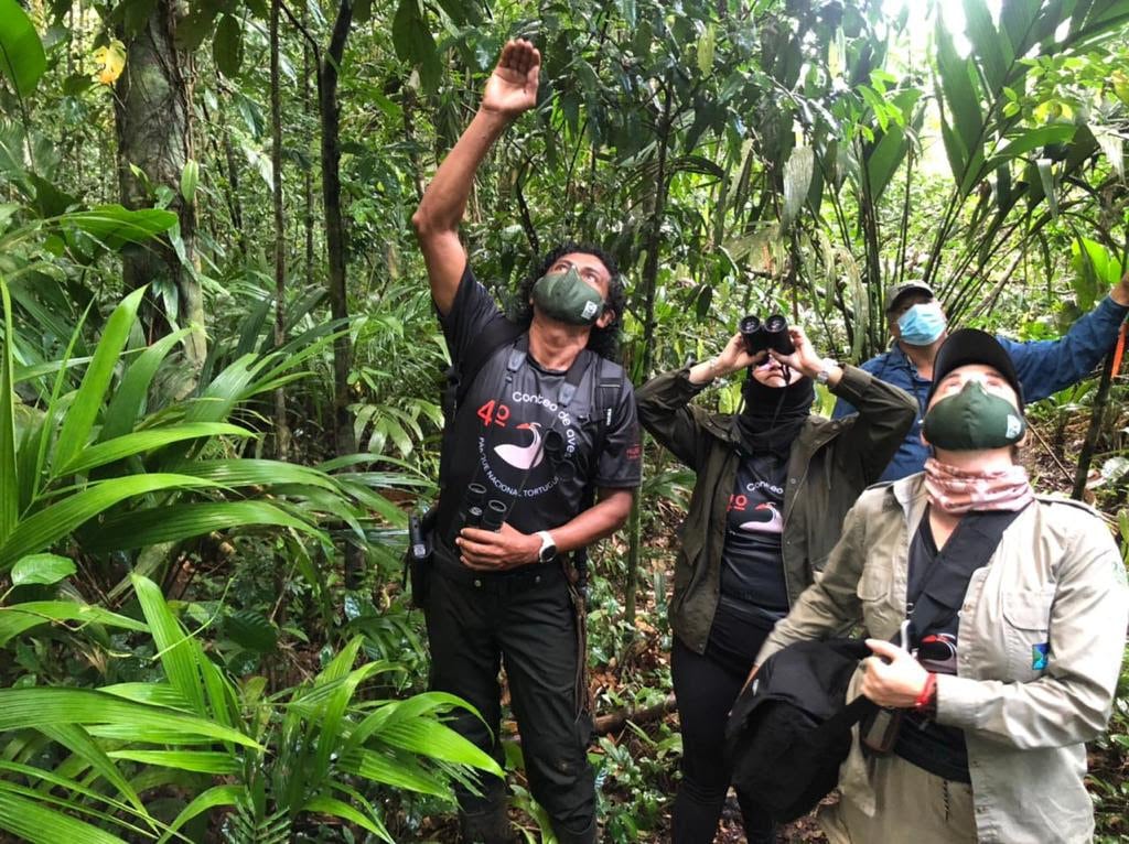 El Parque Nacional Tortuguero registró la cifra récord de 186 especies de aves. Foto: cortesía del ICT.