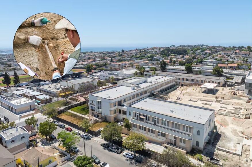 Encuentran fósiles marinos de nueve millones de años durante obras en una escuela de California. El hallazgo asombra a científicos y estudiantes.