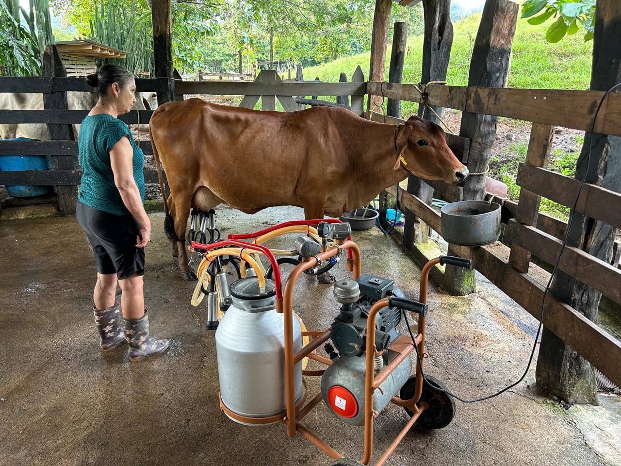 Miriam Badilla Morera ha desarrollado una actividad comercial (pide que no se le llame emprendimiento) con algunas vacas gracias a las cuales produce queso para comercializar.