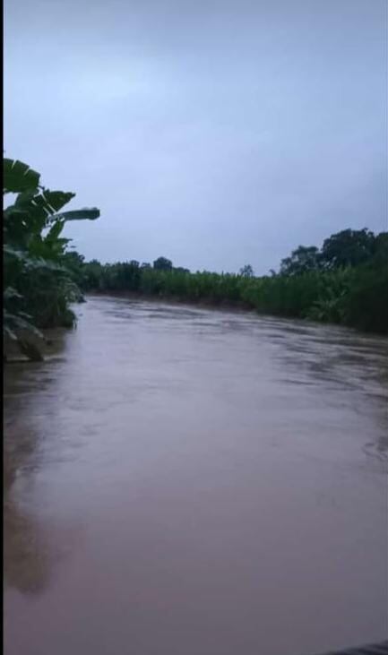 Algunos ríos de Limón, como el Barbilla, comenzaban a llenarse la mañana de este sábado por las persistentes lluvias que genera el frente frío en esa zona. Foto: Reiner Montero.