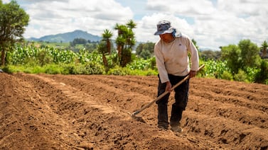 Comunidades, ambiente, escuelas y bienestar animal: estos son pilares de sostenibilidad de Cargill