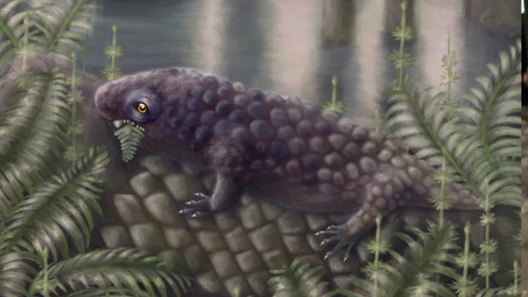 Científicos canadienses describen al vertebrado más antiguo con dieta vegetal conocido hasta ahora.