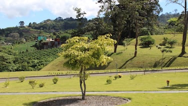 Servicios funerarios implican inversión de al menos ¢2 millones