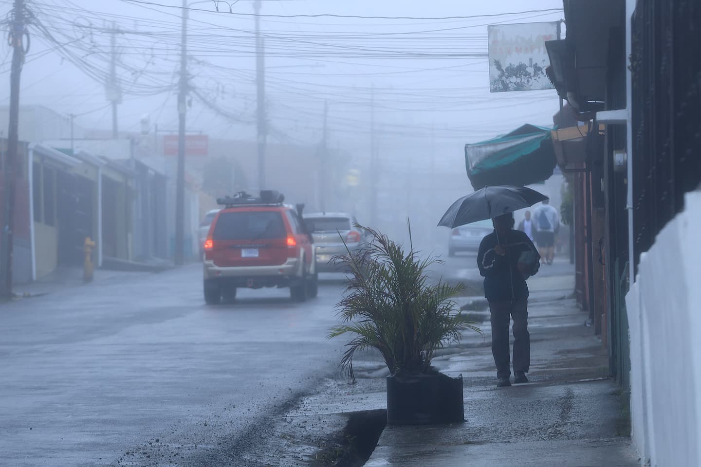 Llovizna y neblina, clima