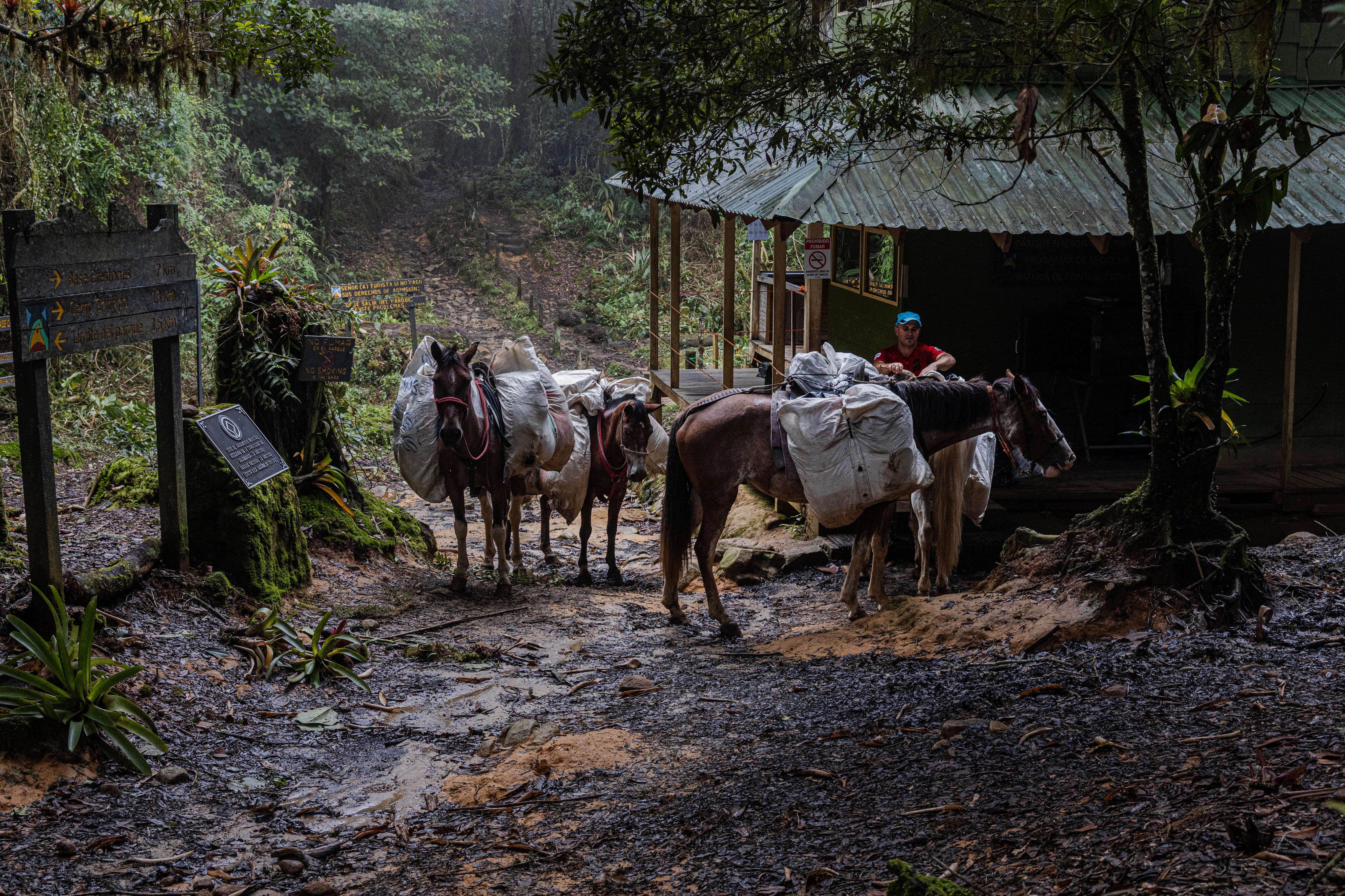 Parque Nacional Chirripo 50 años