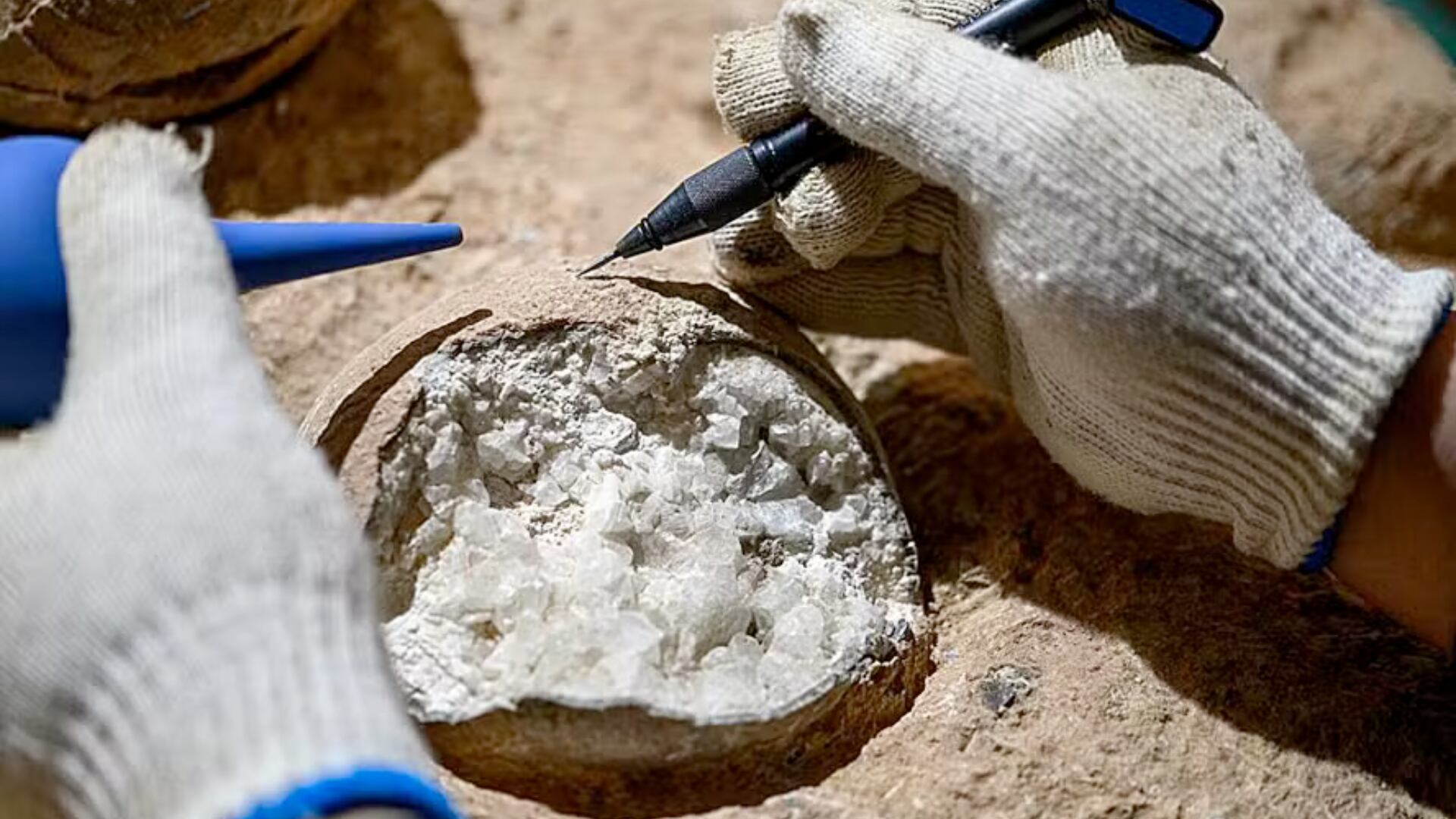 Científicos en China descubrieron cristales en huevos de dinosaurio y aplicaron una novedosa técnica que reveló su antigüedad de 85 millones de años.