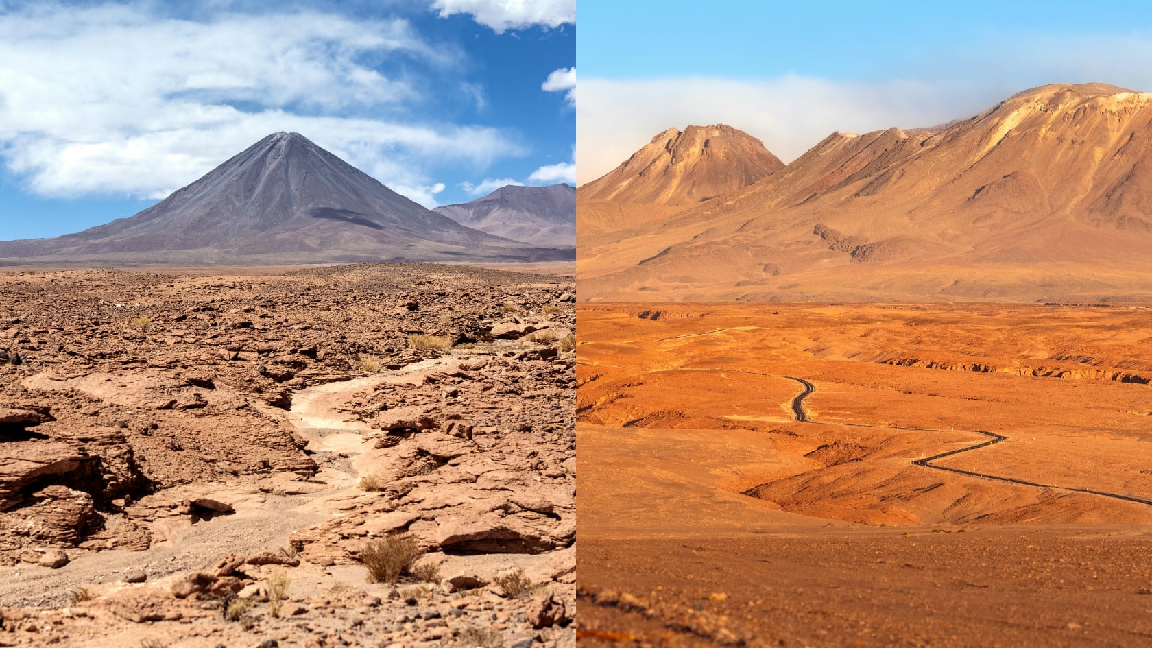 Investigadores hallaron nematodos en Atacama y evidenciaron una biodiversidad mayor a la prevista en uno de los entornos más hostiles.