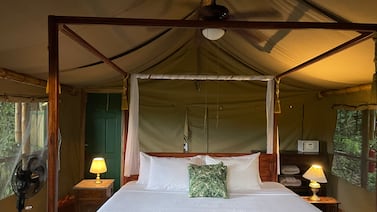En el glamping hay mucho de fantasía, pero el descanso es real: Así se disfruta en Puerto Viejo