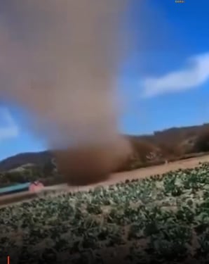 Poco antes del mediodía de este martes 13 de febrero, agricultores de Pamira de Zarcero captaron el remolino cerca de un repollal. Foto: Cortesía.