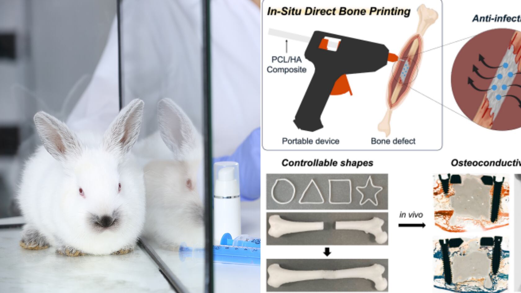 Científicos coreanos crearon una pistola 3D que imprime hueso en cirugías. Mejora implantes, reduce infecciones y personaliza injertos.