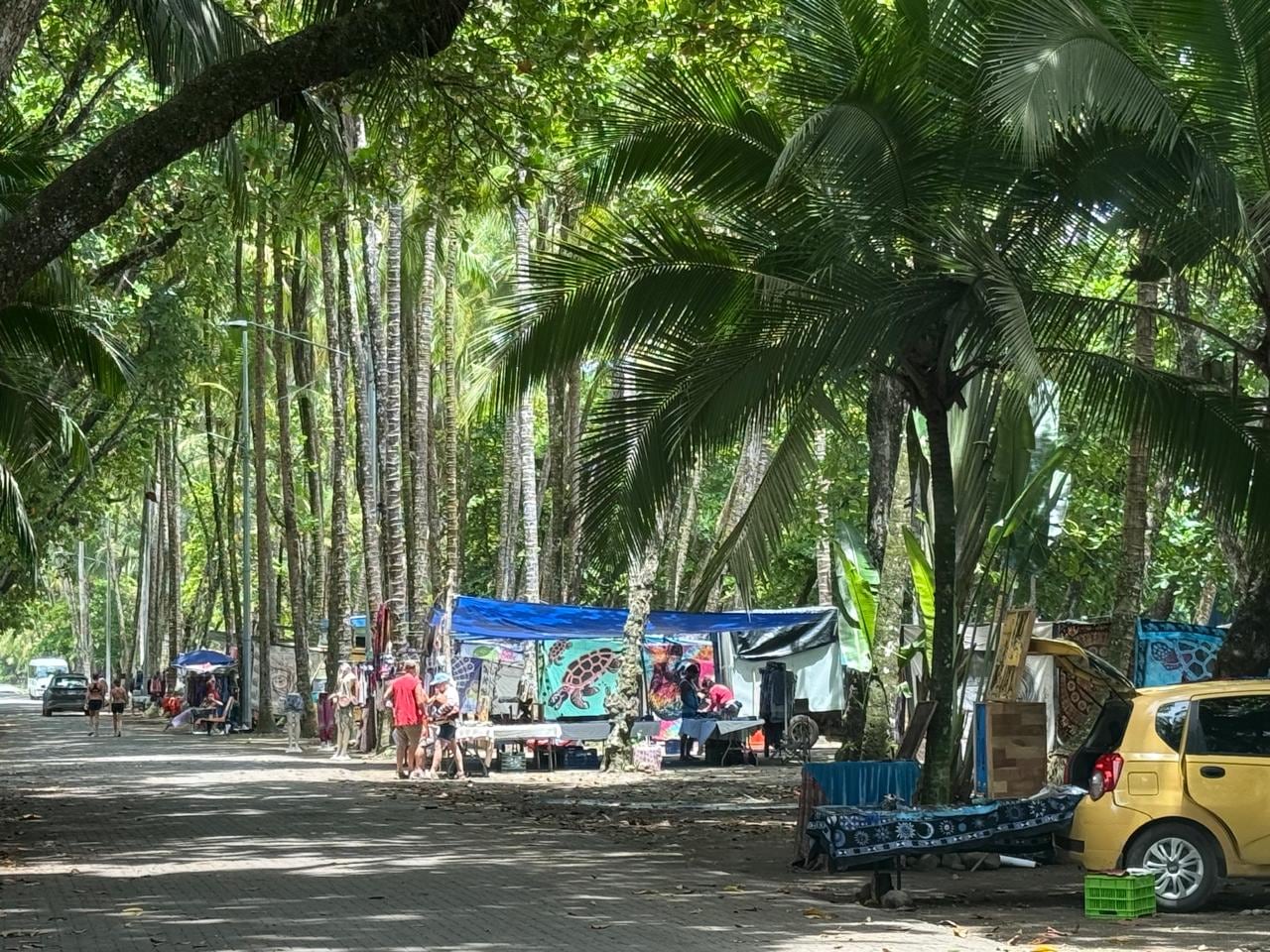 La Sala reiteró a Osa la obligación de actuar en Playa Dominical y advirtió sobre una posible remisión del caso al Ministerio Público.