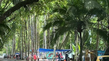 Sala Constitucional da curso a gestión por desobediencia y ordena a Municipalidad de Osa actuar ante vendedores irregulares en Playa Dominical