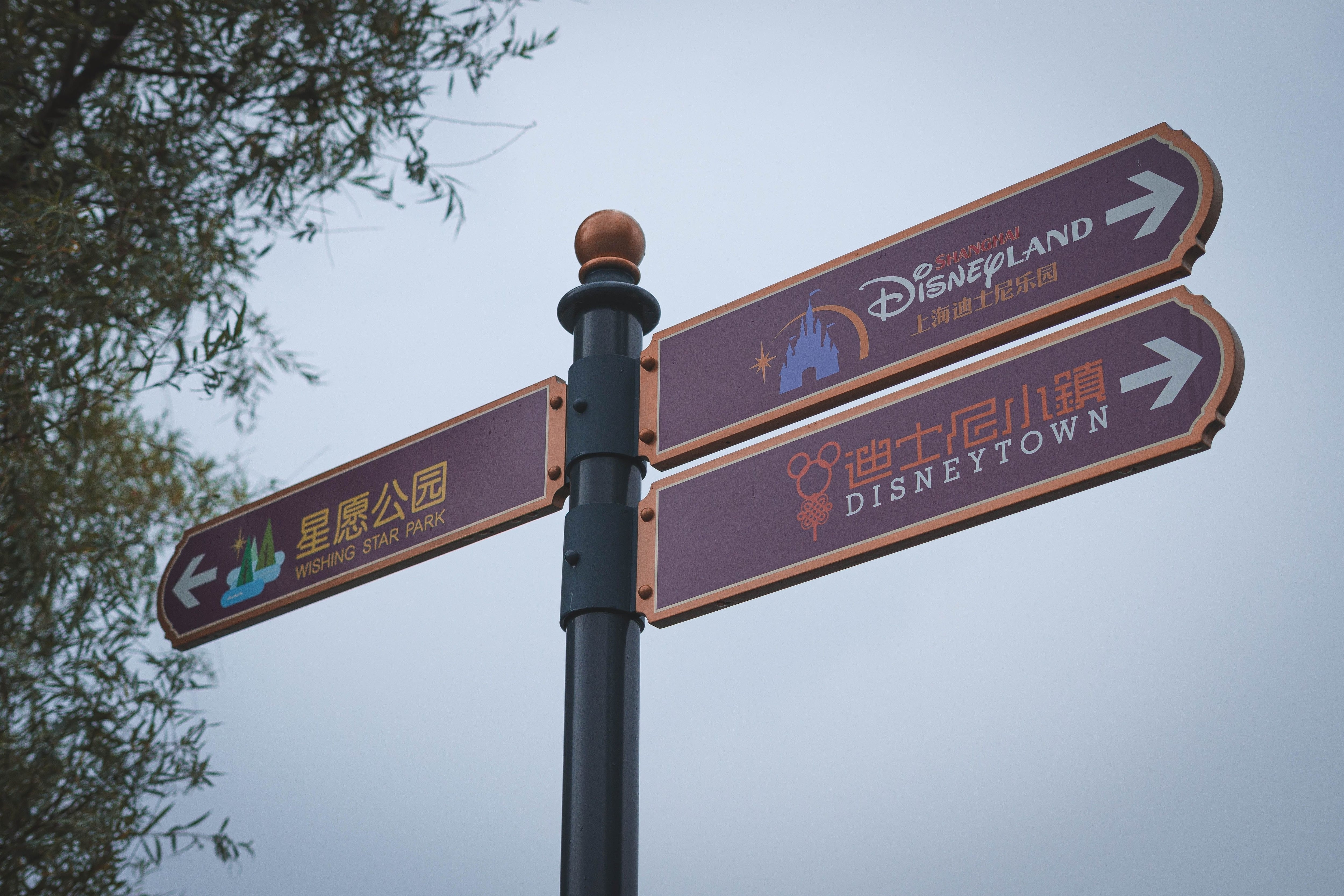 imagen ilustrativa de Disney