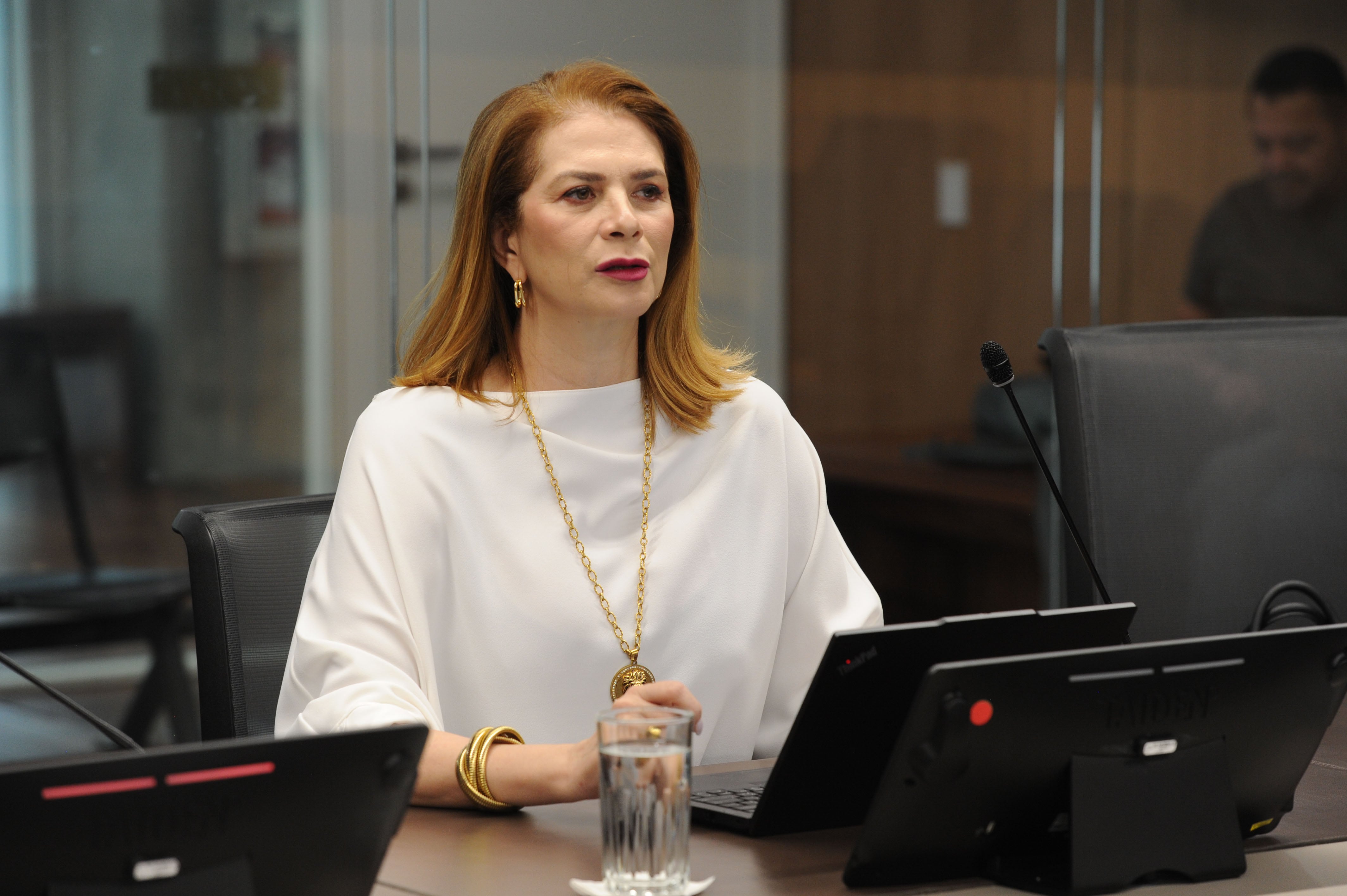 Comisión, comparecencia de Mónica Araya Esquivel.