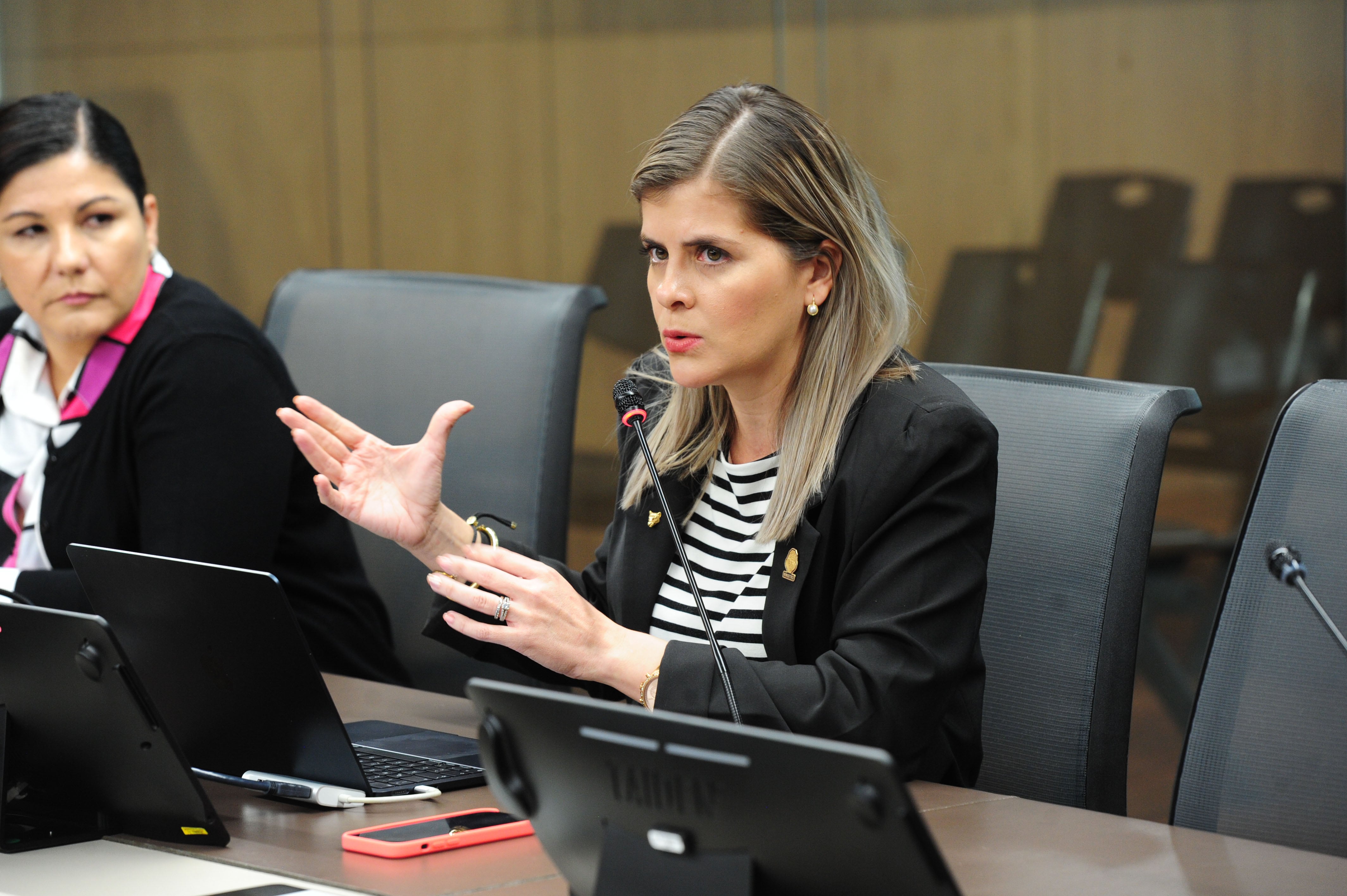 Ministra de la Presidencia Sra Laura Fernández en comisión.