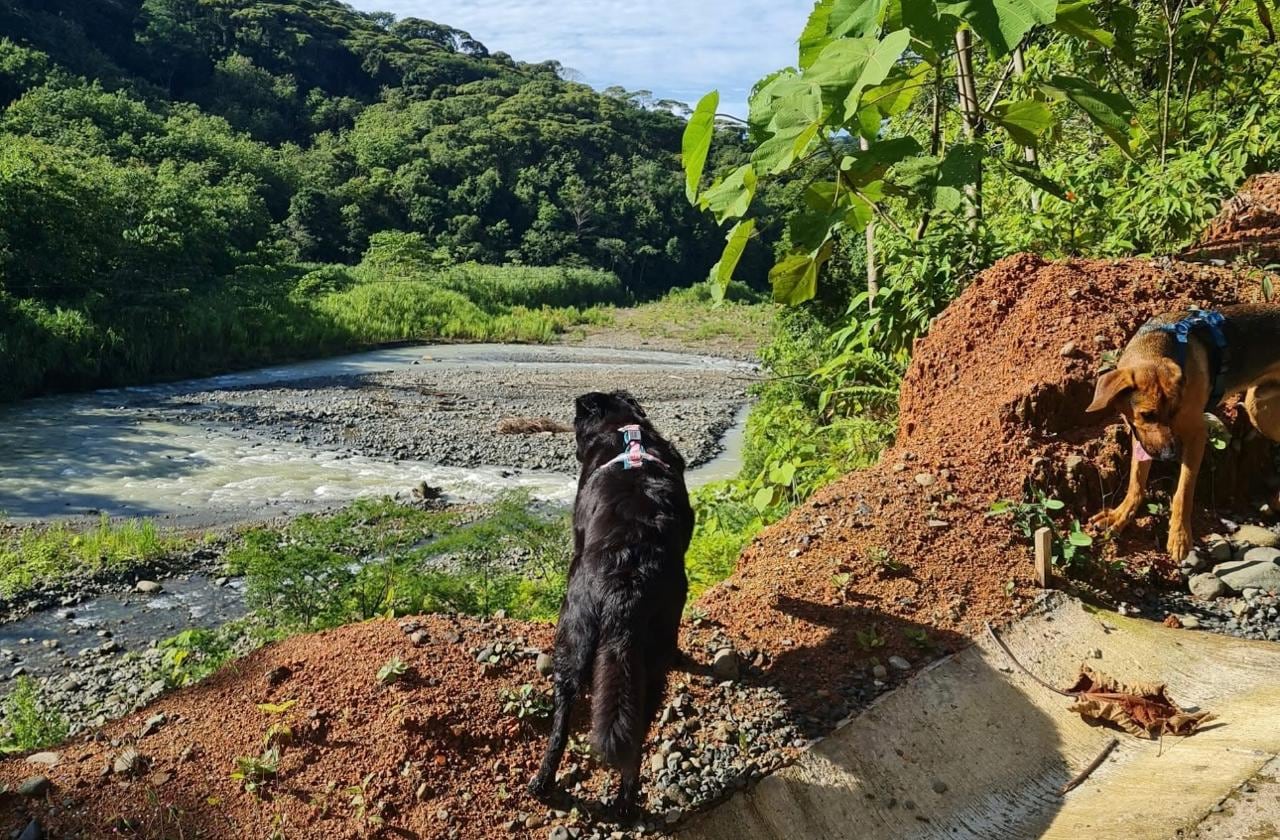 Extranjeros asesinados en Quepos