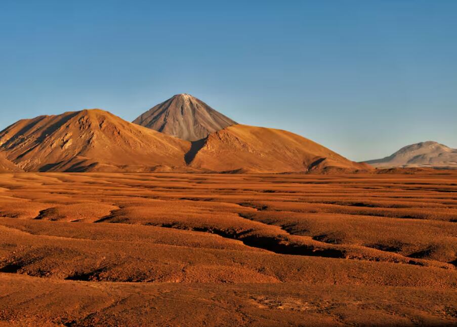 La biodiversidad siempre evolucionó al ritmo de las placas tectónicas (imagen ilustrativa) Foto: Pex/La Nacion/Argentina