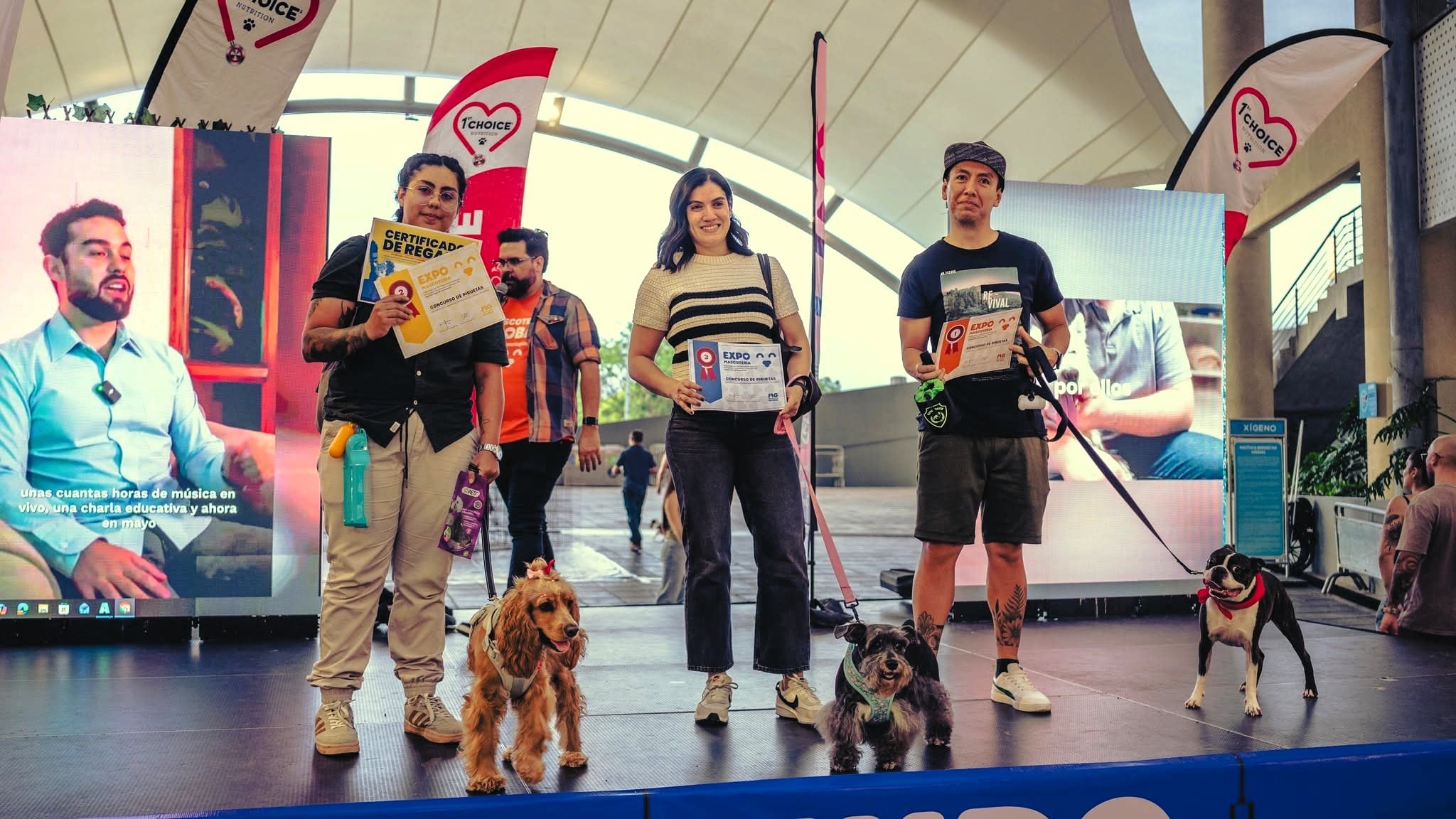 La Expo Mascotería este fin de semana ofrecerá a las familias la oportunidad de adoptar perros y gatos.