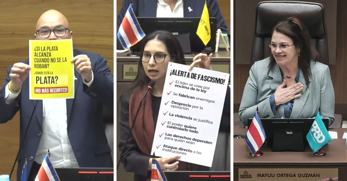 Mayuli Ortega carteles curules