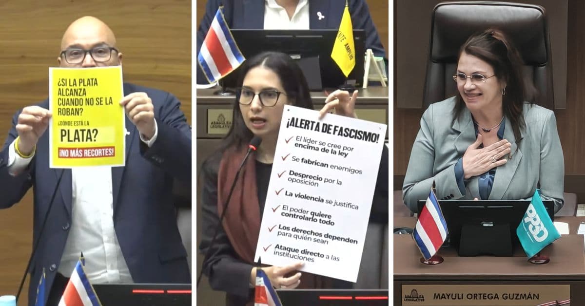 Mayuli Ortega carteles curules
