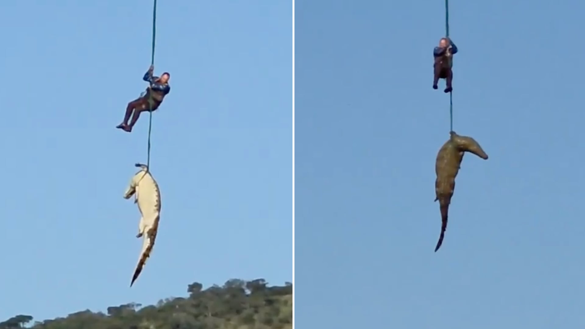 Policía ejecutó rescate aéreo en río con cocodrilos en Sudáfrica. Hallaron restos humanos dentro de un reptil tras desaparición de empresario.