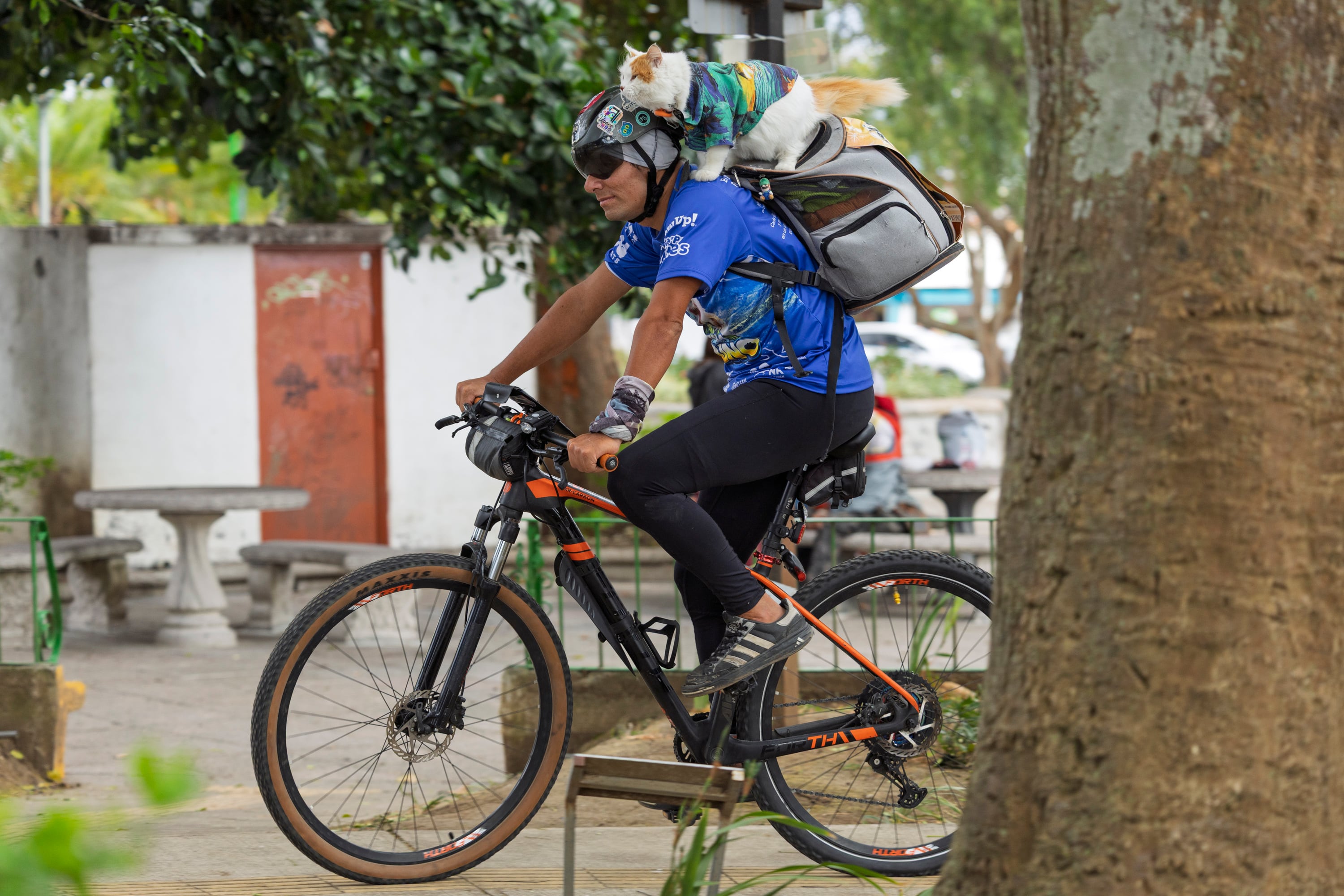 17/03/2026, San José, Tibás, entrevista con Diego Zamora dueño de Bruno, un gato que es su mascota y anda con el por todo el país en bicicleta.