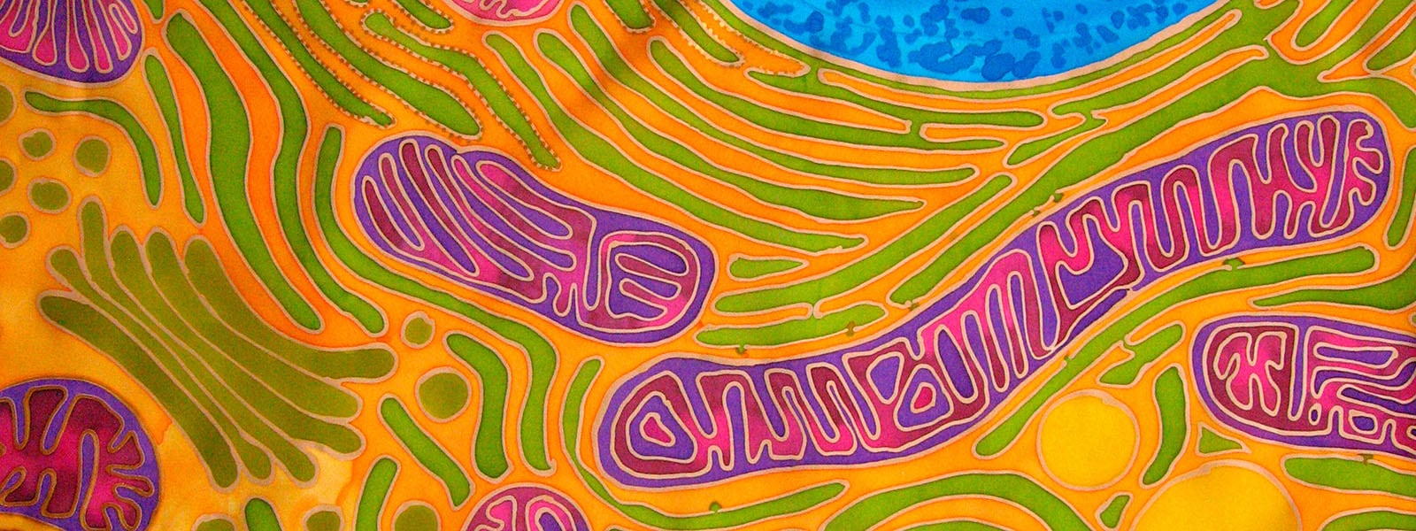 Ilustración científica de las mitocondrias.