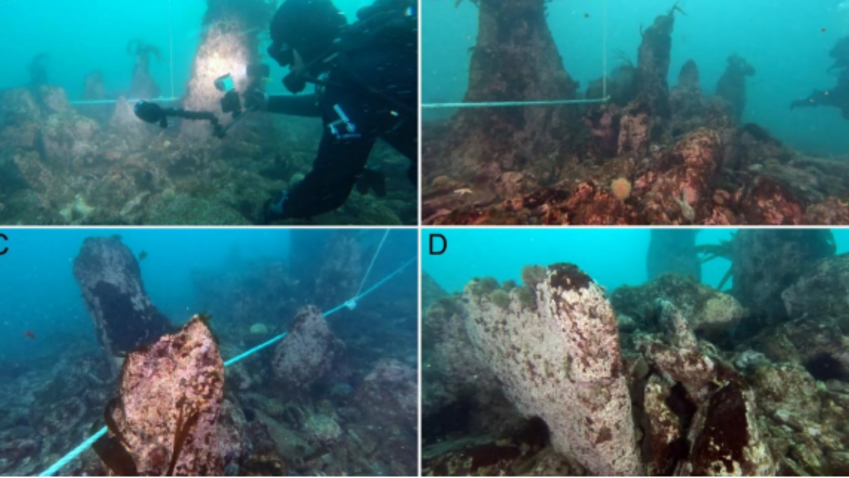 Una pared de piedra de 7.000 años fue hallada bajo el mar en Francia. El hallazgo revela habilidades técnicas avanzadas de comunidades prehistóricas.