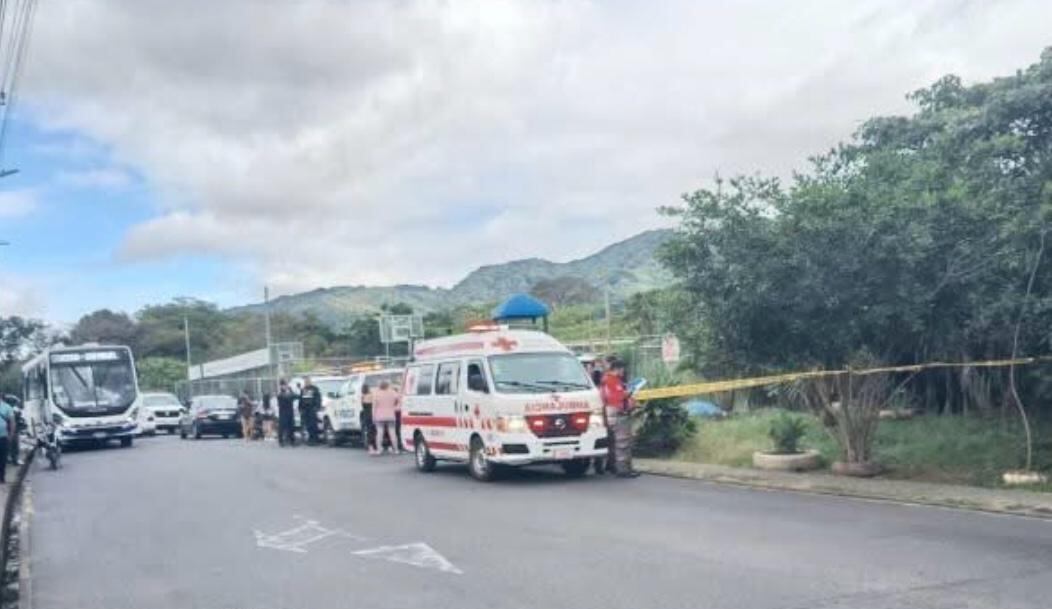 La víctima estaba en las afueras de un parque infantil cuando recibió el ataque.