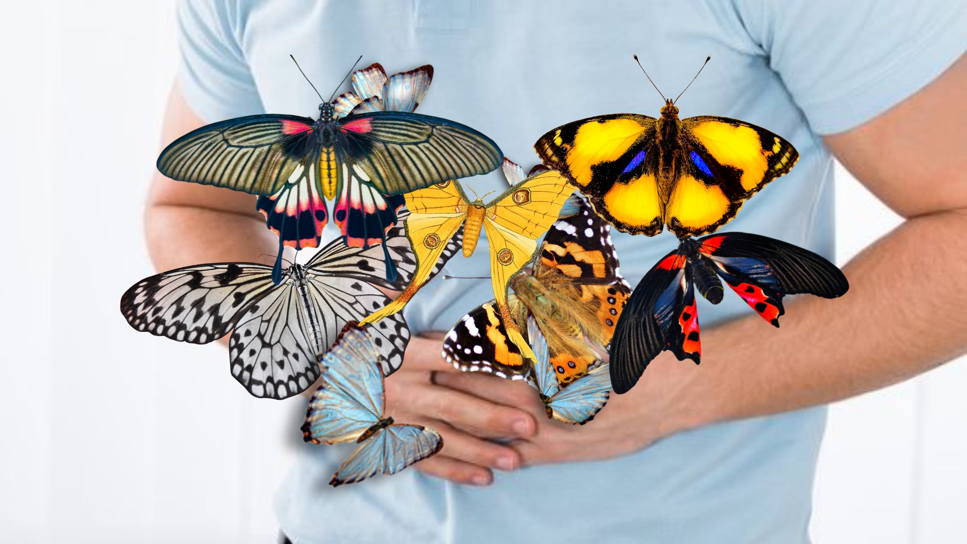 Mariposas en el estómago