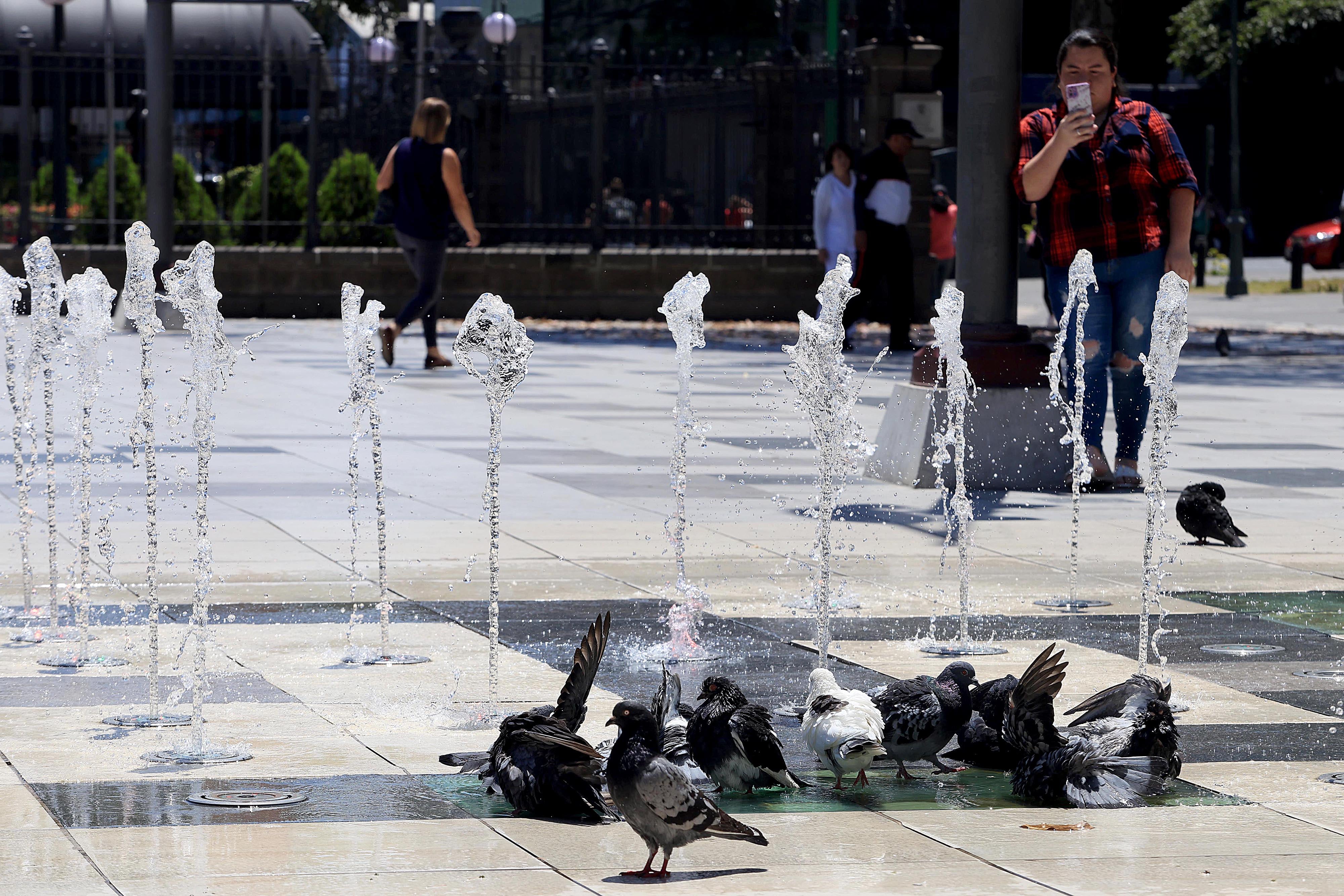 05/03/2024 San José. El calor intenso y temperaturas por encima de lo habitiual se sintieron este martes a mediodía. Así estea el clima por estos días y algunos recurren a las sombrillas y las aves, como las palomas de la Plaza de la Cultura se refrescan con el agua de la fuente. Foto: Rafael Pacheco Granados